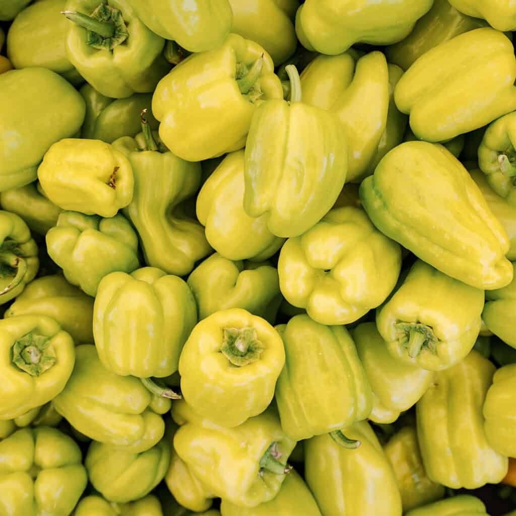 Pepperoncini sauce in Chicago, IL and Phoenix, AZ